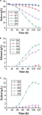 Minimize the Xylitol Production in Saccharomyces cerevisiae by Balancing the Xylose Redox Metabolic Pathway